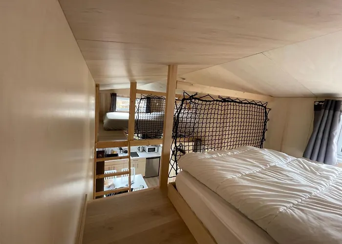 Eco Tiny Housse